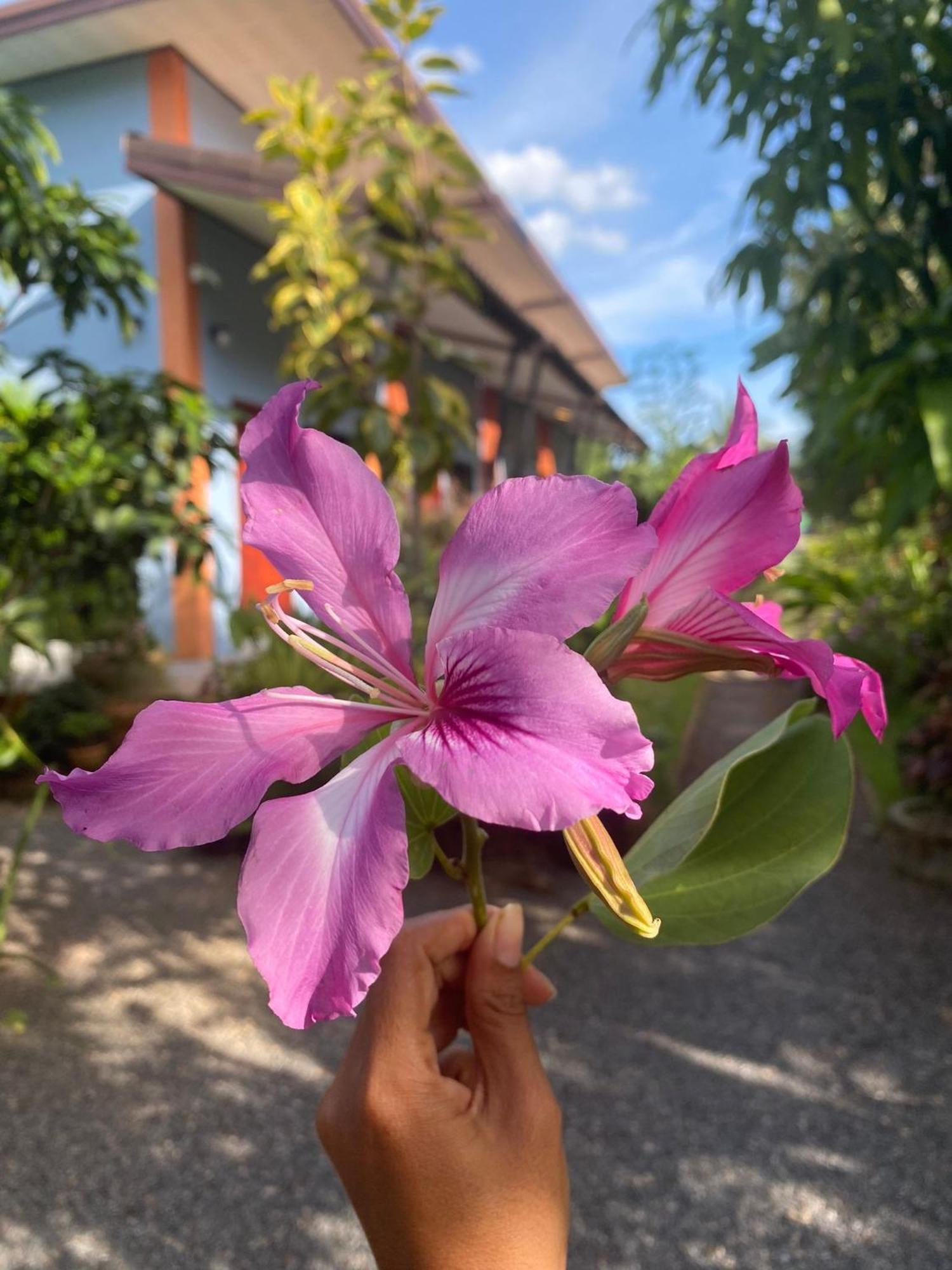 Villafarmsuk@Khanom Kültér fotó